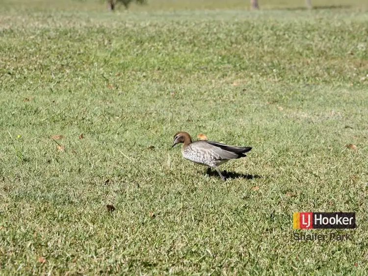Fourth view of Homely land listing, 19 Lynette Way, Daisy Hill QLD 4127