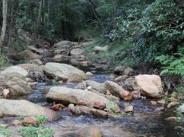 Second view of Homely rural property listing, 1086 Furners Road, Bemboka NSW 2550