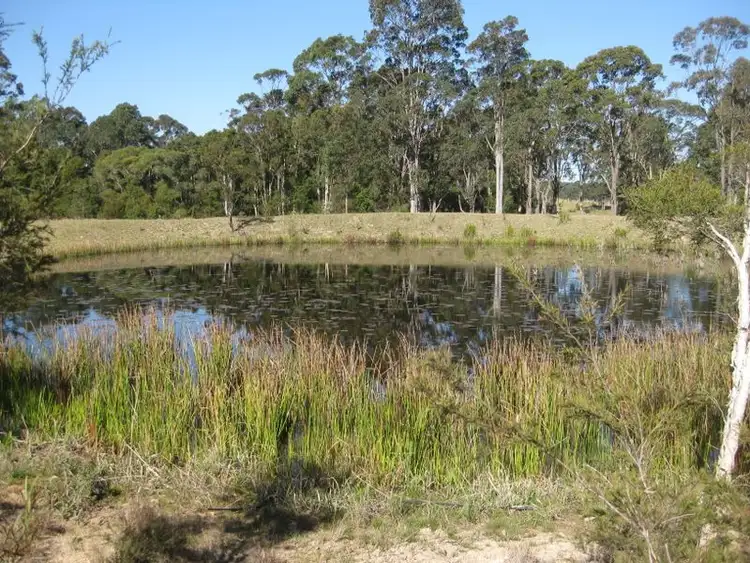 Third view of Homely rural property listing, 71 Gams Road, Tea Gardens NSW 2324