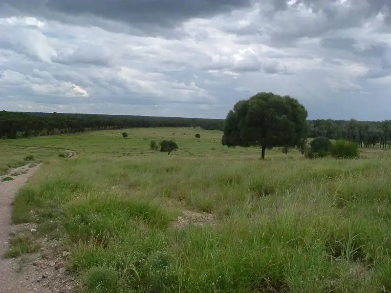 Main view of Homely rural property listing, 8076 Bollon Road, Mitchell QLD 4465