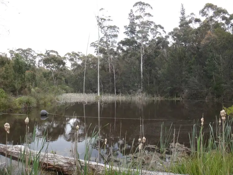 24673 Tasman Highway, St Helens TAS 7216