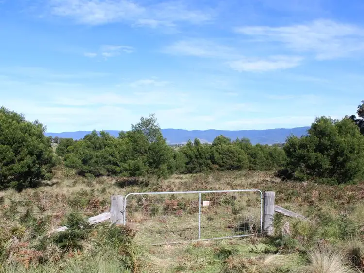 Main view of Homely land listing, 575 Yankees Gap Road, Bemboka NSW 2550