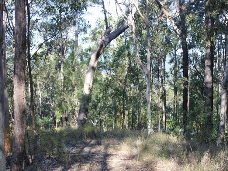 Third view of Homely land listing, 59 Hoop Pine Court, Advancetown QLD 4211