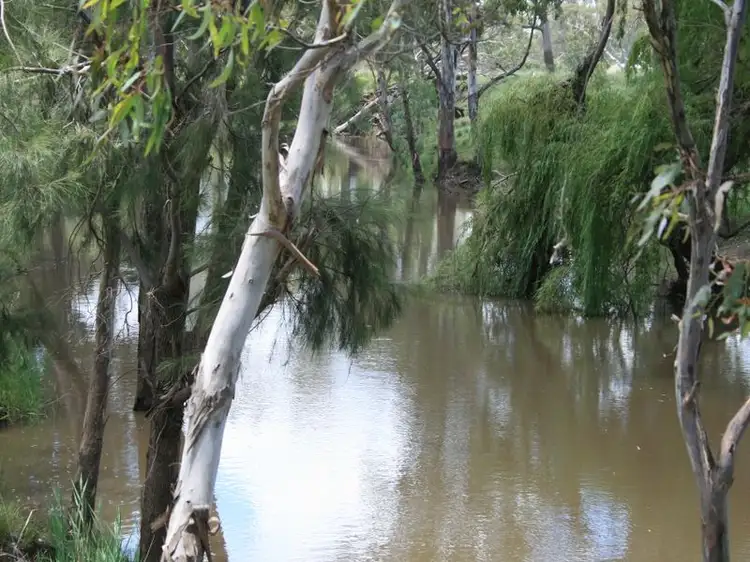 Main view of Homely rural property listing, Lot 1 Condamine River Road, Pratten QLD 4370