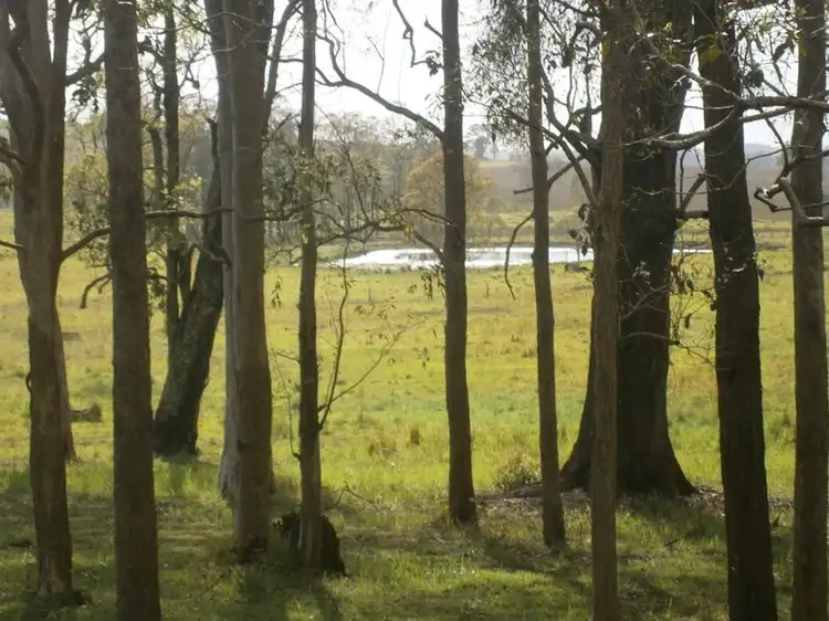 Main view of Homely rural property listing, Lots 39 40 Reynolds Road, Coraki NSW 2471