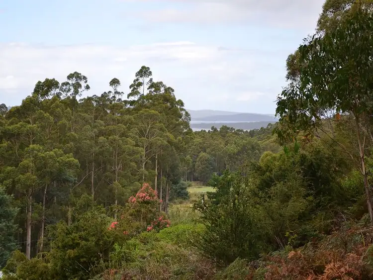 Third view of Homely house listing, 119 Coxs Road, Middleton TAS 7163