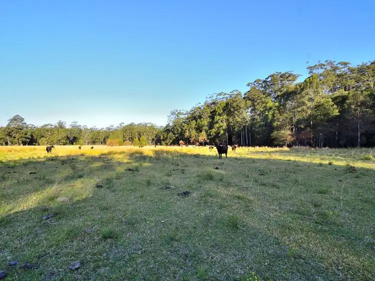 Fourth view of Homely rural property listing, Chain 'O' Ponds Road, Collombatti NSW 2440