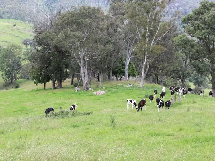 Third view of Homely rural property listing, 59 Bellemount Lane, Brogo NSW 2550