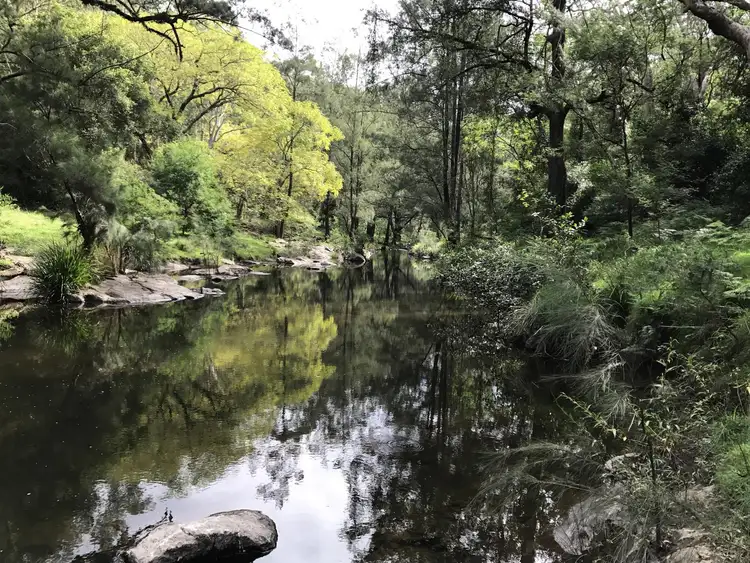 1383 Enfield Range Road, Cooplacurripa NSW 2424