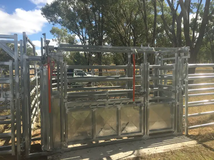 Fourth view of Homely rural property listing, 407 Lanreef Road, Roma QLD 4455