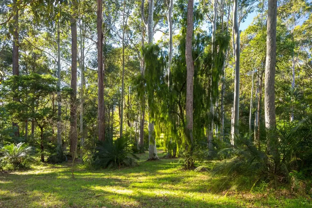 Main view of Homely land listing, 67 Edward Road, Batehaven NSW 2536