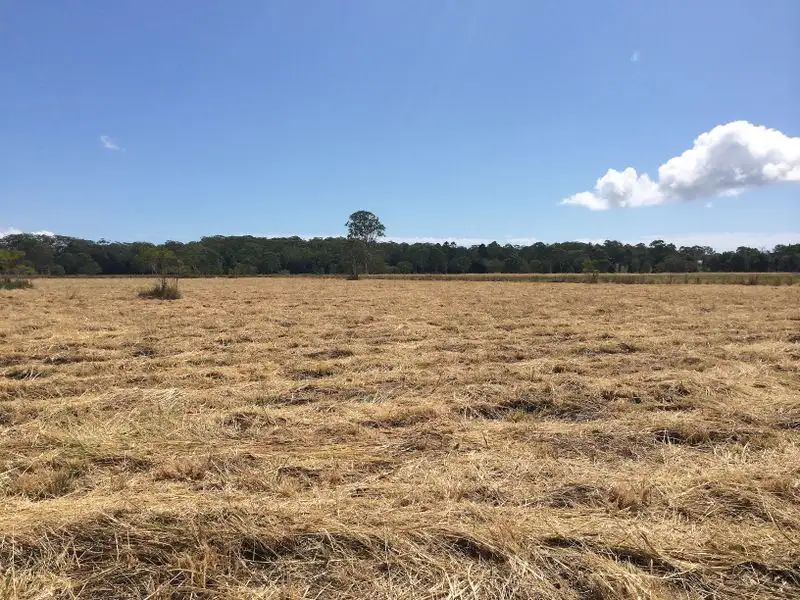 Main view of Homely land listing, 154 Redwood Road, Doonan QLD 4562