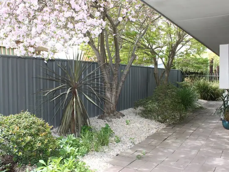 Seventh view of Homely house listing, 36 William Street, Alexandra VIC 3714