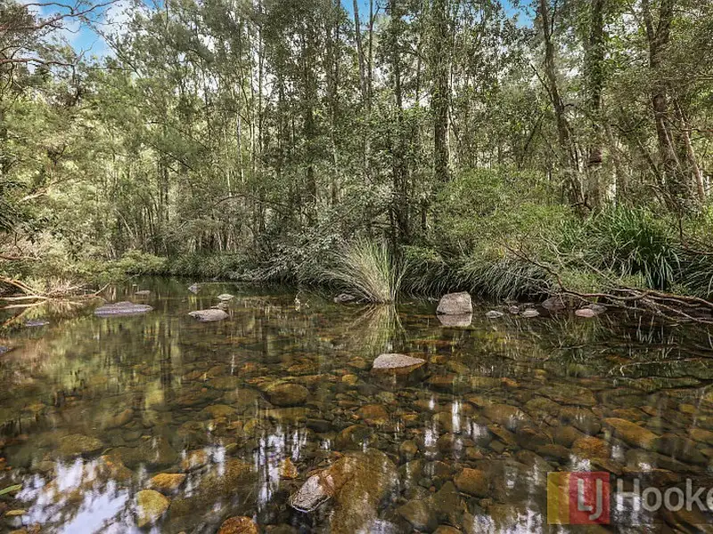 Main view of Homely rural property listing, Lot 11 Dungay Creek Road, Wittitrin NSW 2440
