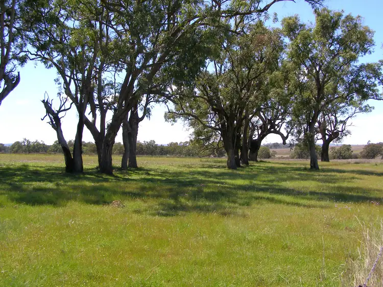 Fifth view of Homely rural property listing, 296 Limestone Road, Ashford NSW 2361