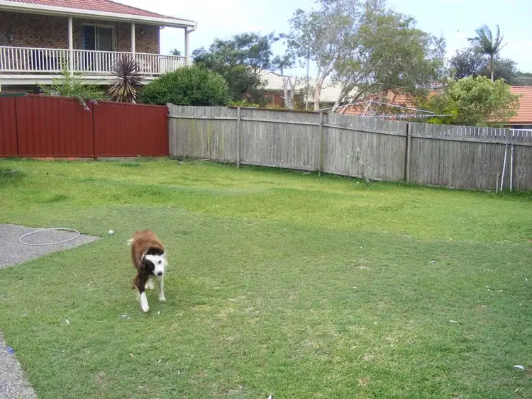 Seventh view of Homely house listing, 24 Currawong Cr, South West Rocks NSW 2431