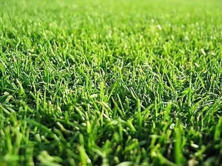 Lot 525 Buckland Hill Drive, Wallan VIC 3756
