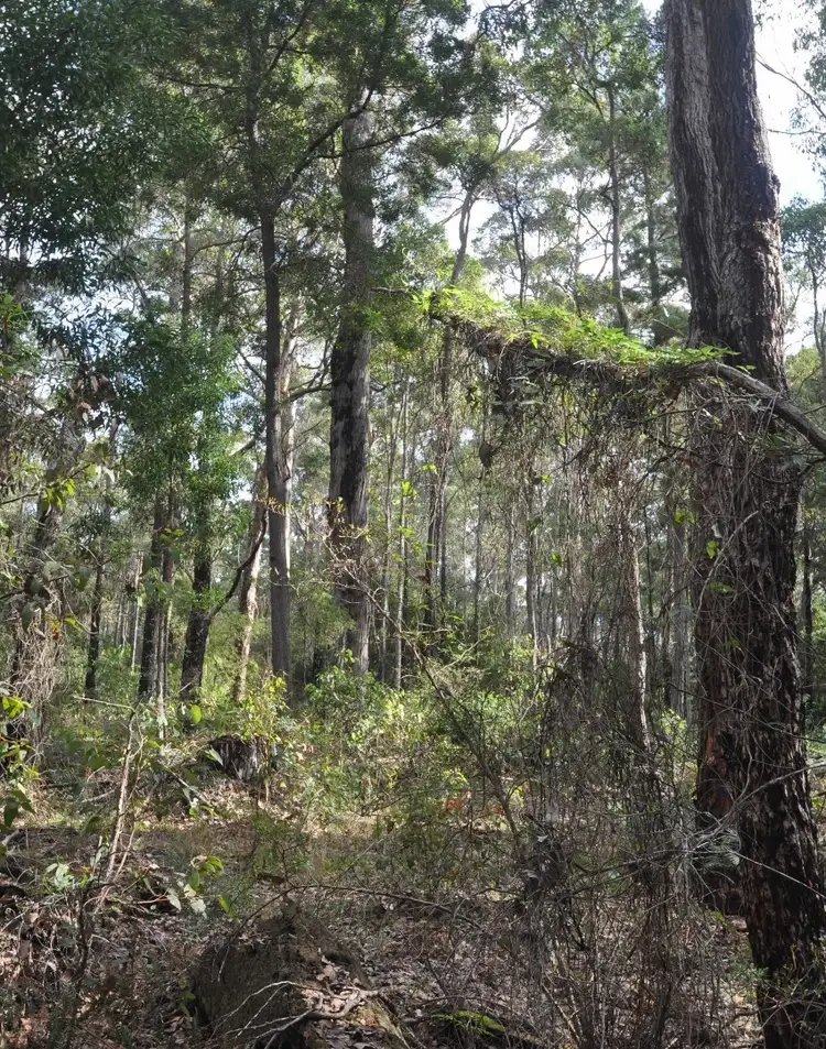 Seventh view of Homely land listing, Lot 143 Karri Lane, Quinninup WA 6258
