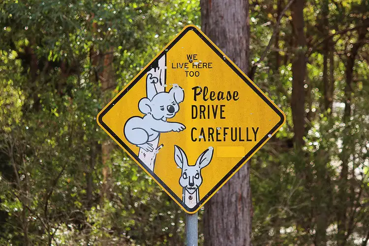 Sixth view of Homely land listing, 120-122 Sanctuary Drive, Mount Cotton QLD 4165