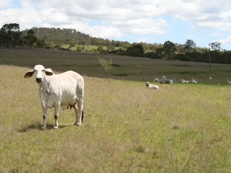 Lot 1 Cunningham Highway, Maryvale QLD 4370
