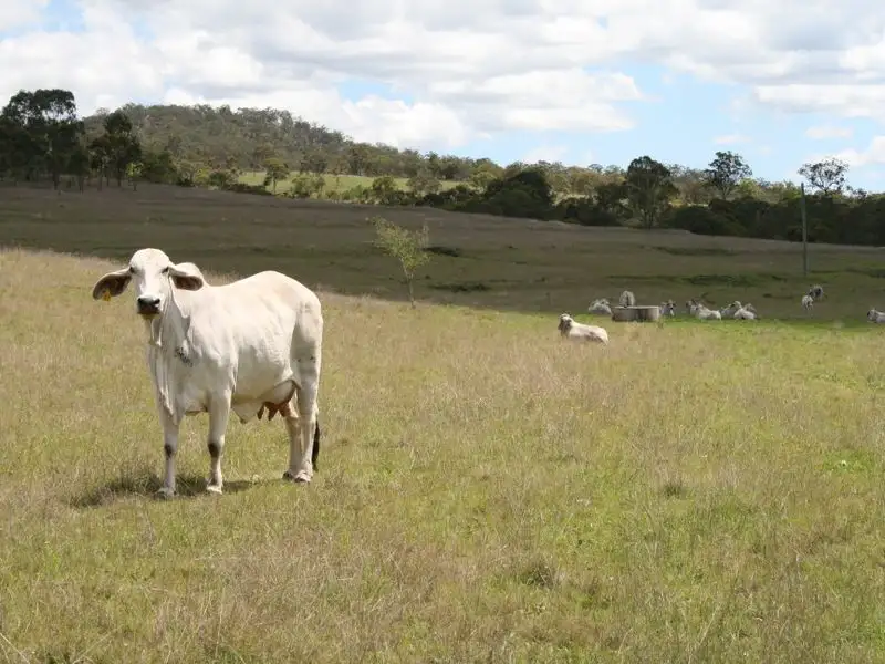 Main view of Homely rural property listing, Lot 1 Cunningham Highway, Maryvale QLD 4370