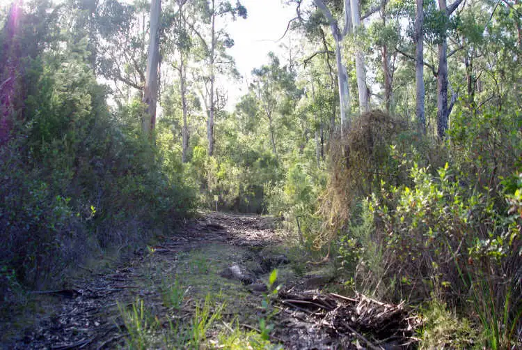 Seventh view of Homely land listing, 5278 Channel Highway, Gordon TAS 7150