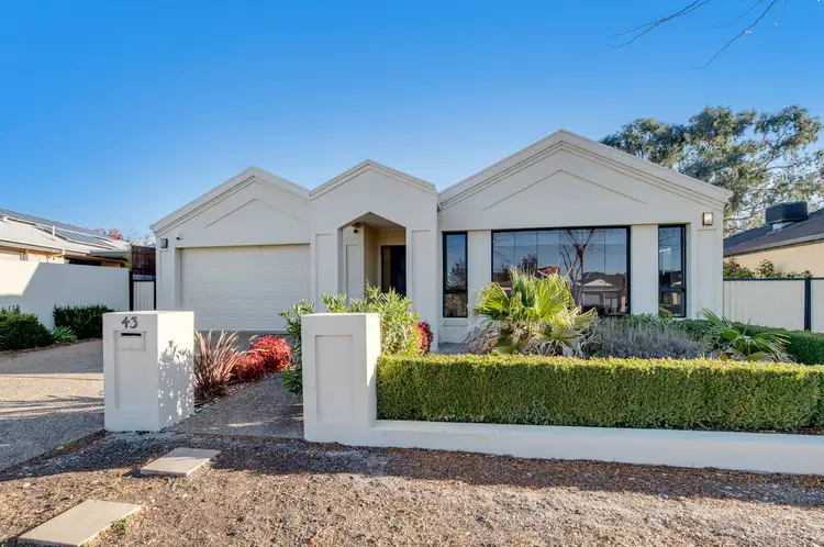 43 Hollingsworth Street, Gungahlin ACT 2912