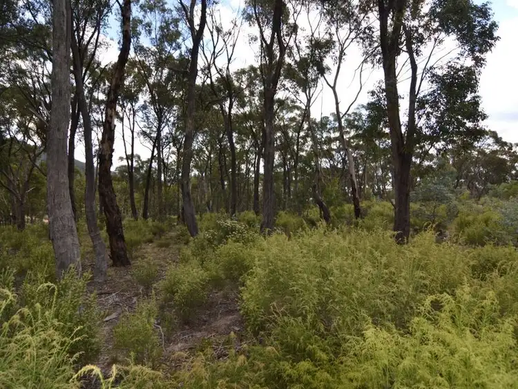 Sixth view of Homely rural property listing, 27 Arcadia Place, Meadow Flat NSW 2795