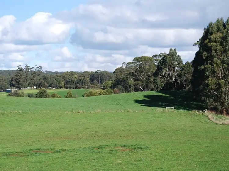 221 Preolenna Road, Flowerdale TAS 7325