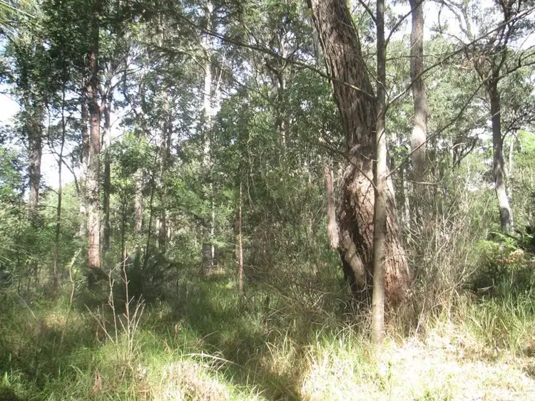 Third view of Homely land listing, Part Lot46 Brindabella Street, Bergalia NSW 2537