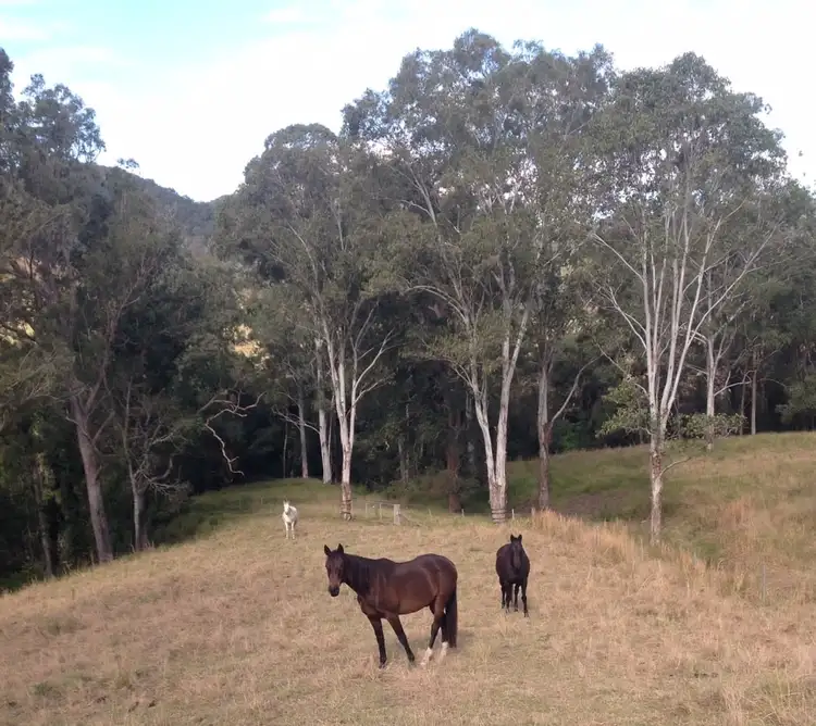Seventh view of Homely land listing, 48 Kerriki Forest Road, Wingham NSW 2429