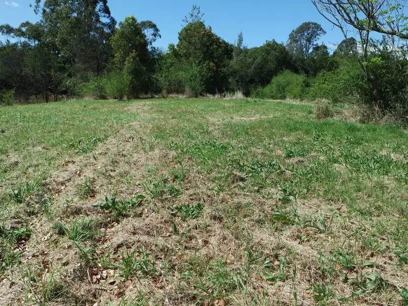 Main view of Homely land listing, 8 & 9/51 Primrose Street, Wingham NSW 2429