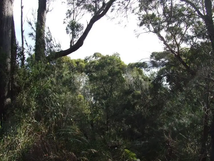 Fourth view of Homely land listing, 67 St Helens Point Road, Stieglitz TAS 7216