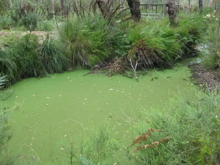 Fifth view of Homely land listing, Lot 8/Sec H DP82 Nardoo Street, Pindimar NSW 2324