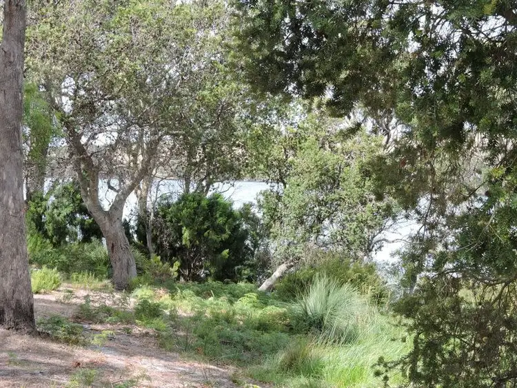 Fourth view of Homely land listing, 139 Acacia Drive, Ansons Bay TAS 7264