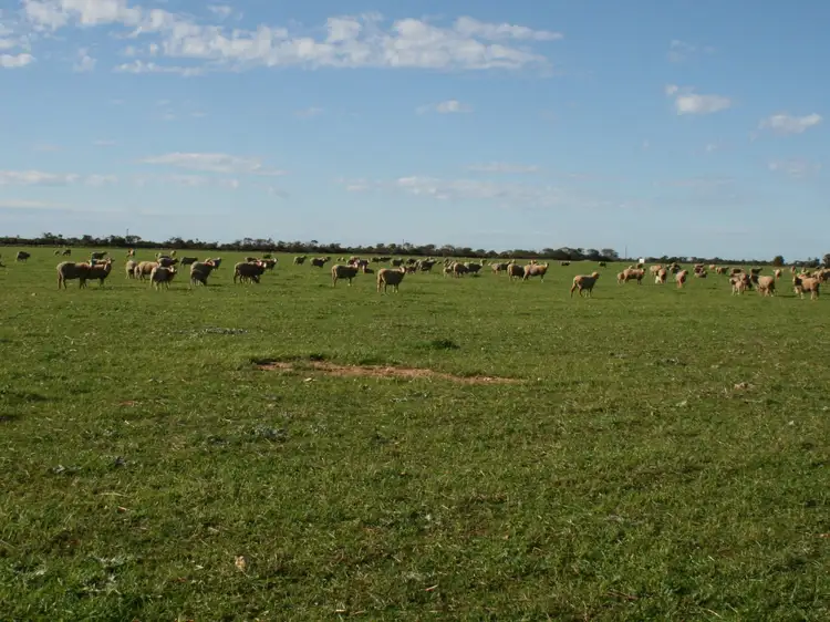 Second view of Homely land listing, Lot 16 Bublacowie Road, Yorketown SA 5576