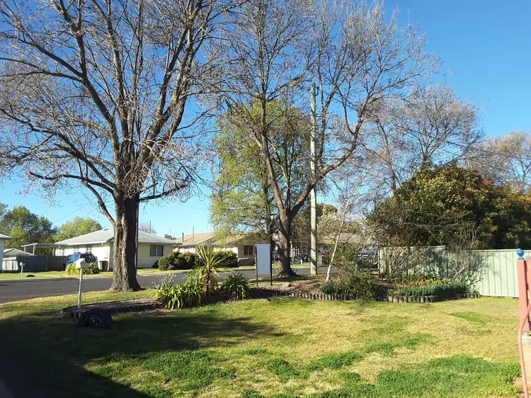 - Scott Street, Glen Innes NSW 2370