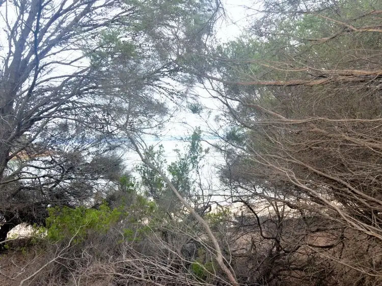 Second view of Homely land listing, 426 Freycinet Drive, Coles Bay TAS 7215