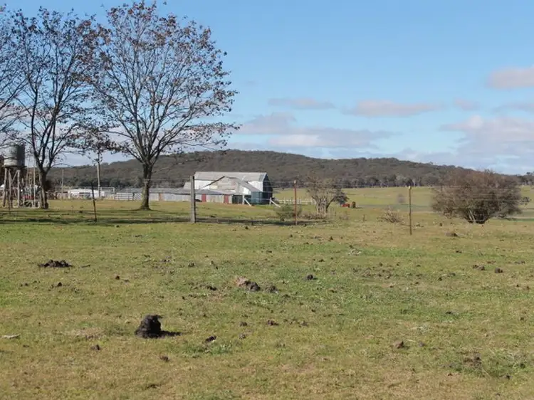 Fifth view of Homely rural property listing, 916 Emmaville Rd, Glen Innes NSW 2370