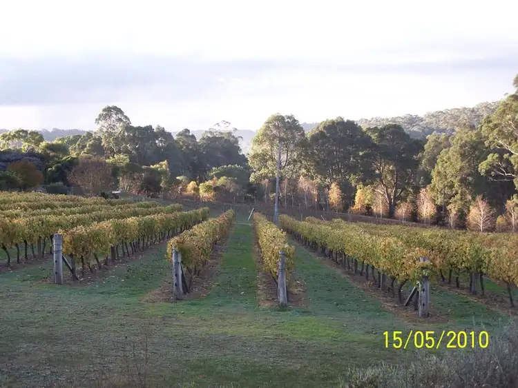 Seventh view of Homely land listing, 11891 Conte Road, Pemberton WA 6260