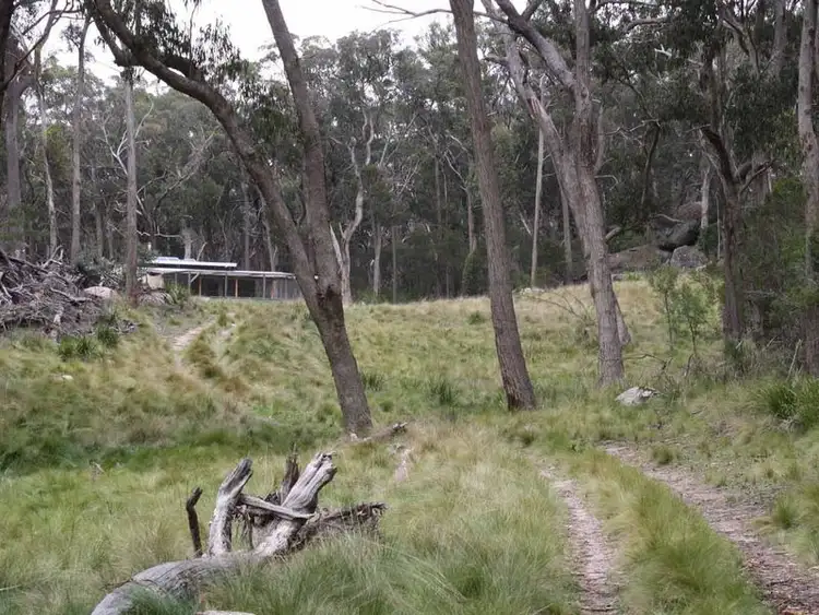Fifth view of Homely rural property listing, 3 Carrot Farm Road, Deepwater NSW 2371