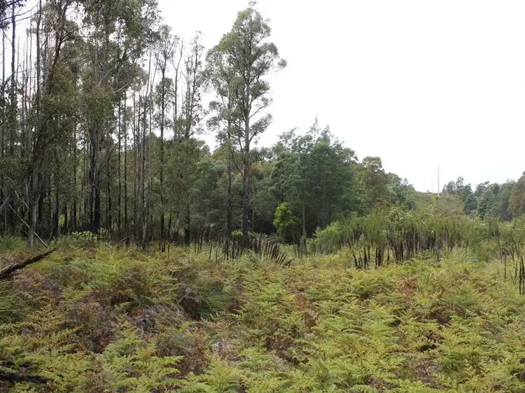 Fifth view of Homely land listing, 3/ Mcgowans Road, Margate TAS 7054