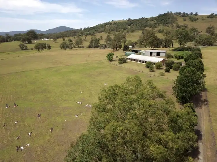 Fourth view of Homely rural property listing, 3 Jacks Road, Killawarra NSW 2429