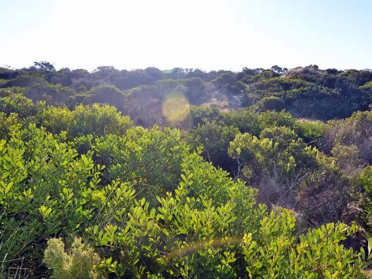 Third view of Homely land listing, 283 Dolphin Sands Road, Dolphin Sands TAS 7190