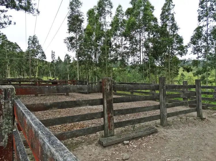 Sixth view of Homely land listing, Lot 3 Booral Road, Girvan NSW 2425
