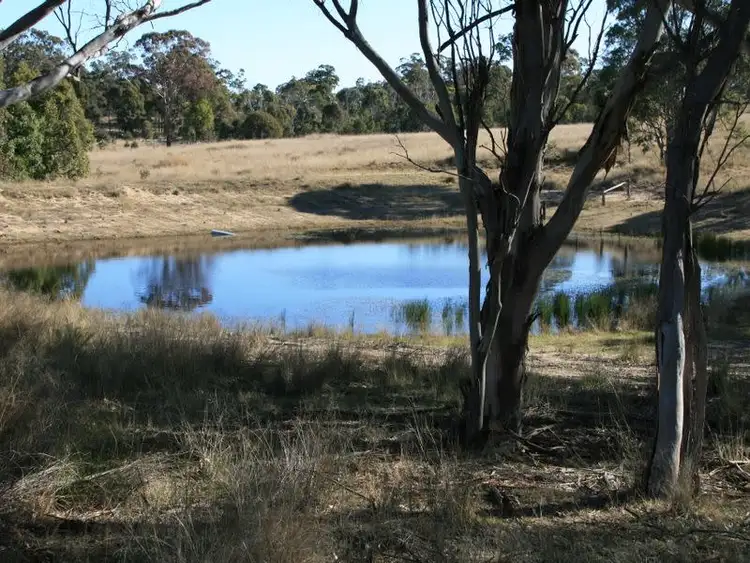 Seventh view of Homely rural property listing, Lot 348 Loloma Road Dalveen via, Warwick QLD 4370