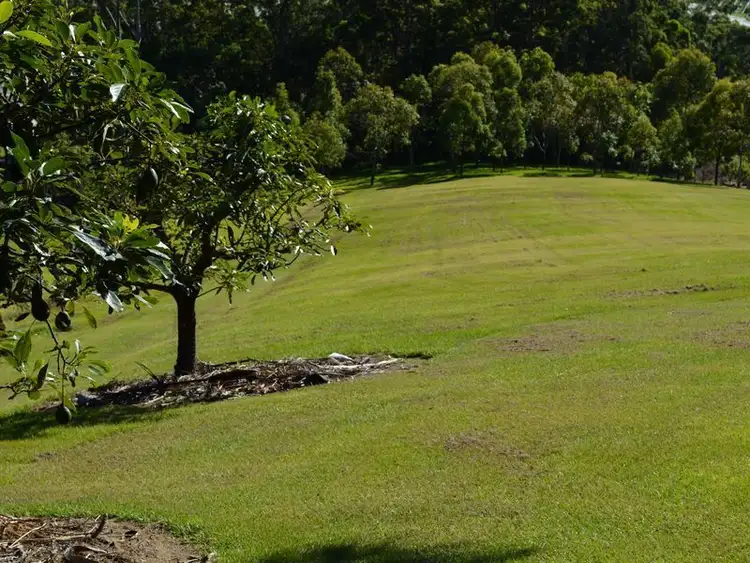 Fifth view of Homely house listing, 131 Johnsons Road, Sandy Beach NSW 2456