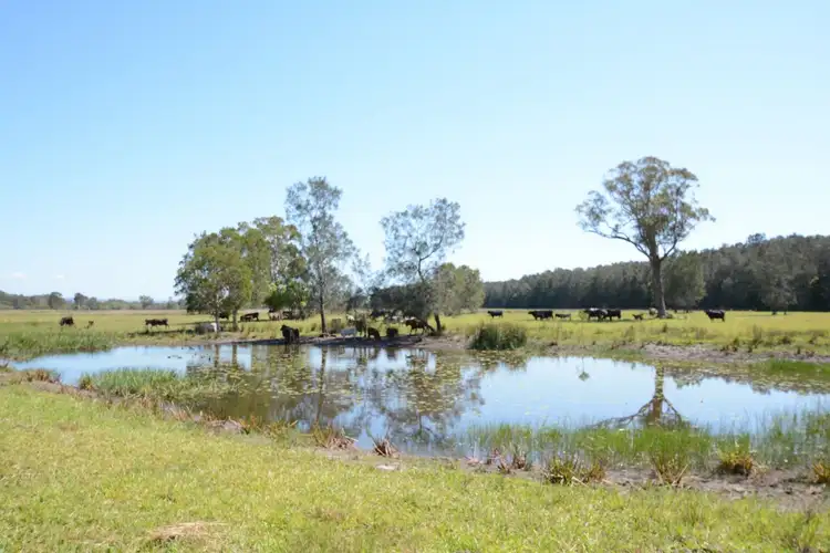 Fifth view of Homely house listing, 189 Sandridge Road, Mitchells Island NSW 2430