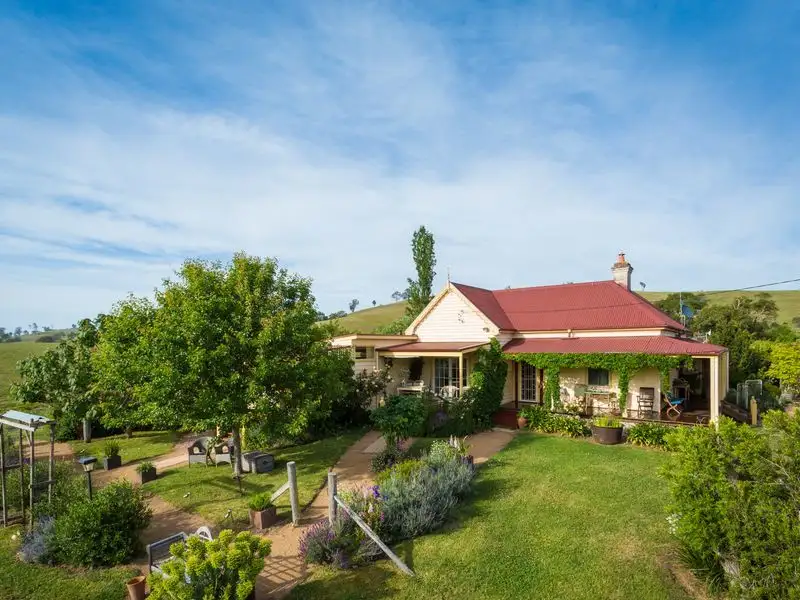 Main view of Homely rural property listing, 13594 Princes Highway, Bega NSW 2550