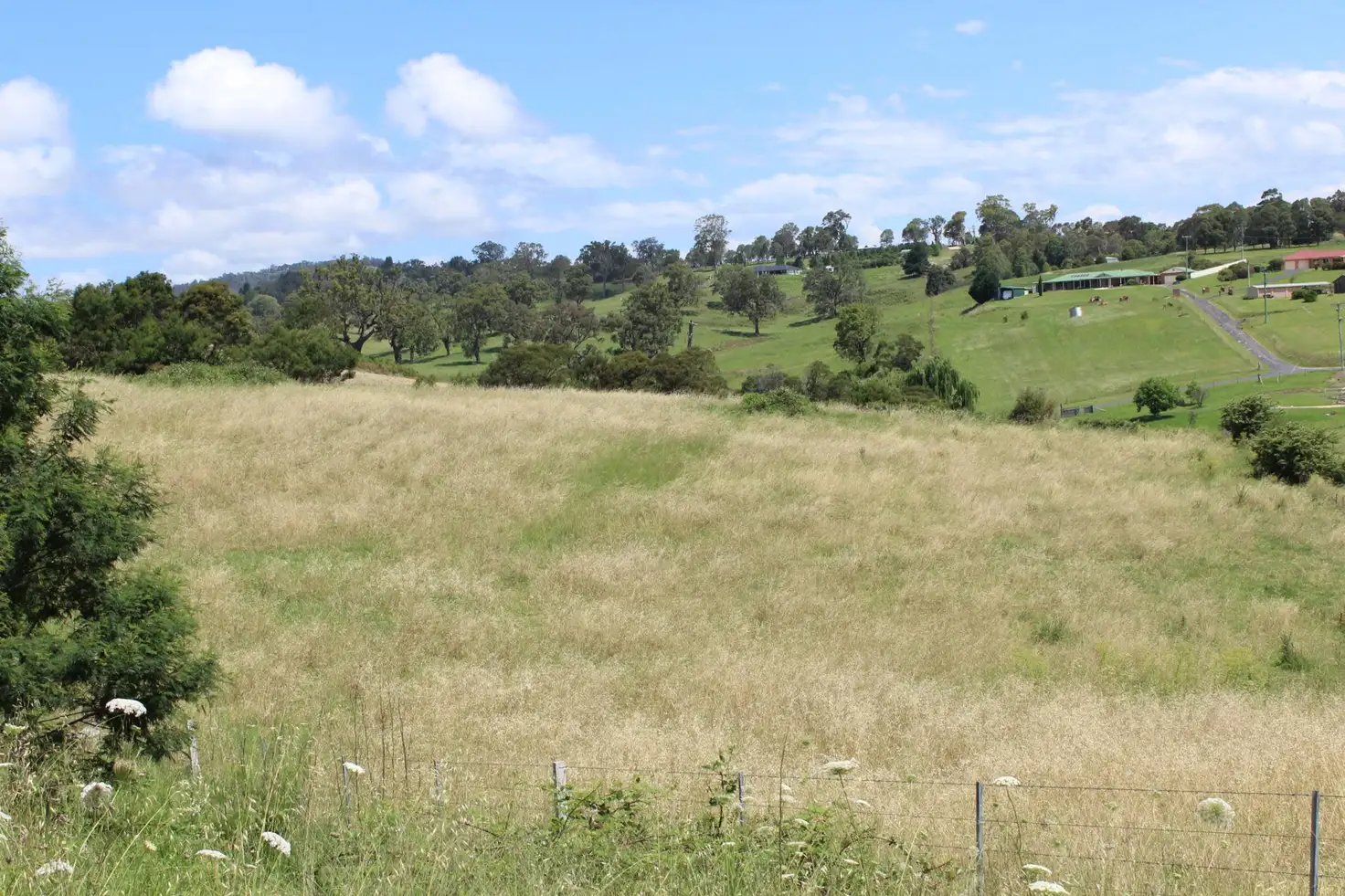Main view of Homely land listing, Lot 1 Cnr Boundary Rd & Auckland St, Bega NSW 2550